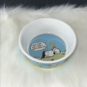 Peanuts Snoopy & Woodstock Ceramic Bowl in Blue and White